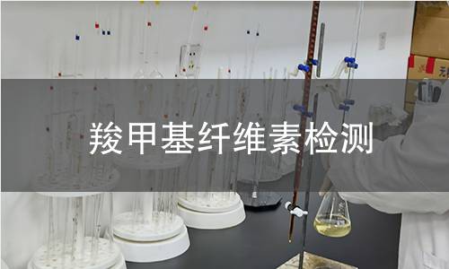 羧甲基纤维素检测 羧甲基纤维素检测