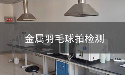 金属羽毛球拍检测 金属羽毛球拍检测