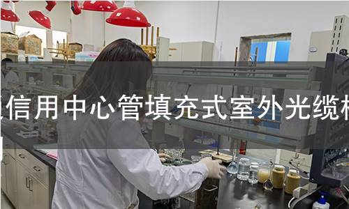 通信用中心管填充式室外光缆检测