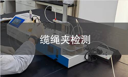 缆绳夹检测