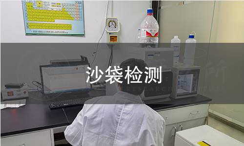 沙袋检测 沙袋检测