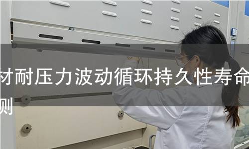 管材耐压力波动循环持久性寿命检测