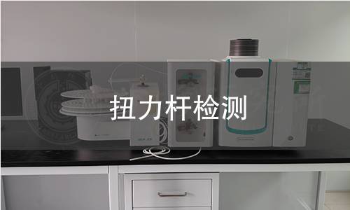 扭力杆检测