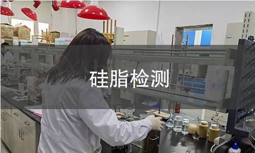 硅脂检测