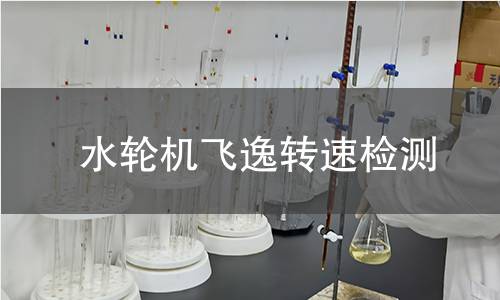 水轮机飞逸转速检测 水轮机飞逸转速检测