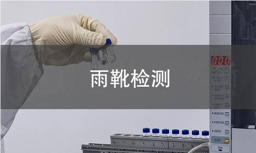 雨靴检测 雨靴检测