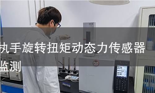 门窗执手旋转扭矩动态力传感器实时监测 门窗执手旋转扭矩动态力传感器实时监测