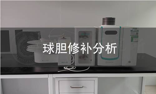 球胆修补分析 球胆修补分析