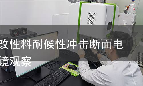 聚丙烯改性料耐候性冲击断面电子显微镜观察 聚丙烯改性料耐候性冲击断面电子显微镜观察