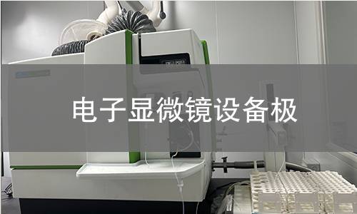 电子显微镜设备极