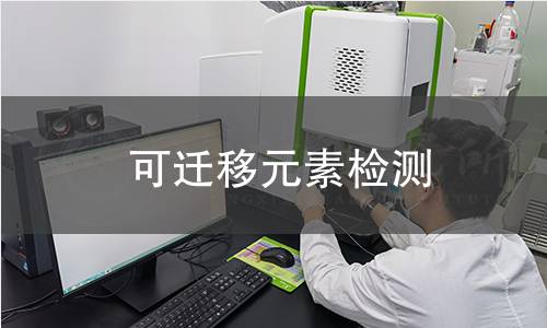 可迁移元素检测 可迁移元素检测