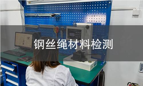 钢丝绳材料检测