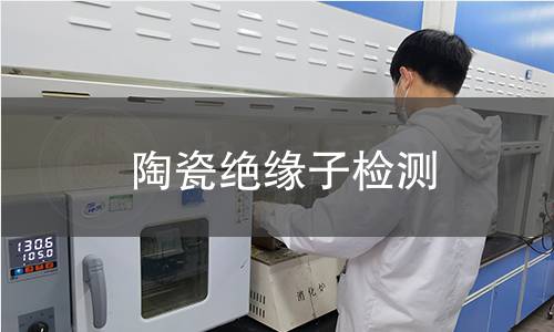 陶瓷绝缘子检测 陶瓷绝缘子检测