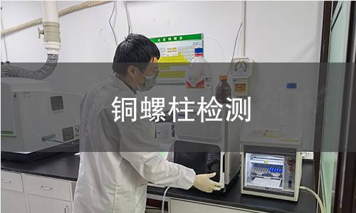 铜螺柱检测 铜螺柱检测