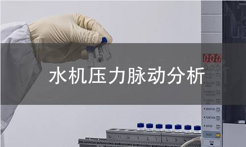 水机压力脉动分析 水机压力脉动分析