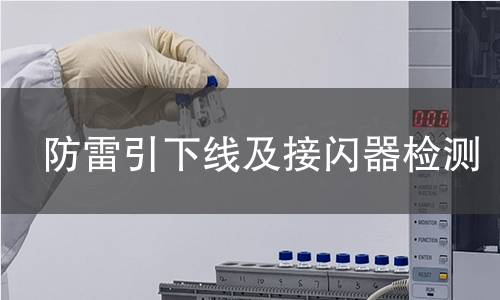 防雷引下线及接闪器检测 防雷引下线及接闪器检测