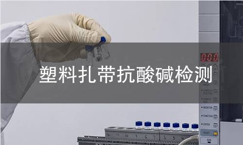 塑料扎带抗酸碱检测