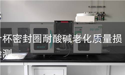 榨汁杯密封圈耐酸碱老化质量损失检测
