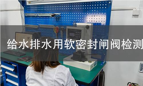 给水排水用软密封闸阀检测