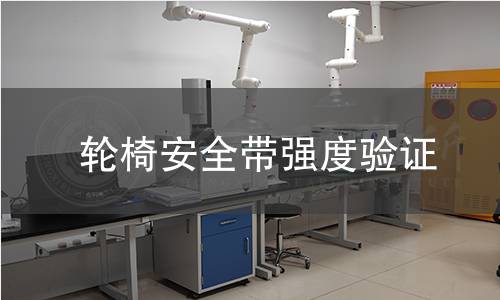 轮椅安全带强度验证 轮椅安全带强度验证