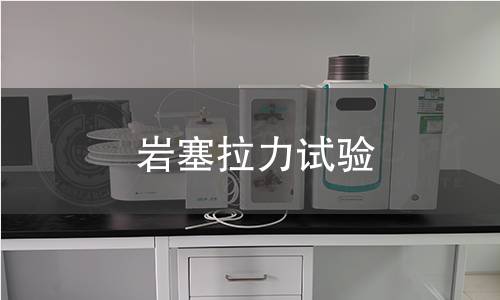 岩塞拉力试验 岩塞拉力试验