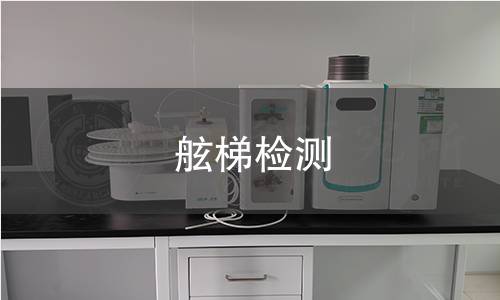 舷梯检测