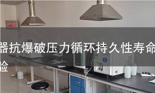 容器抗爆破压力循环持久性寿命实验 容器抗爆破压力循环持久性寿命实验