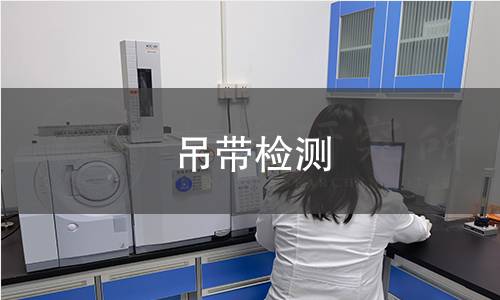 吊带检测