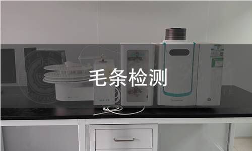 毛条检测