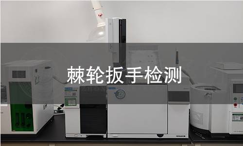 棘轮扳手检测 棘轮扳手检测