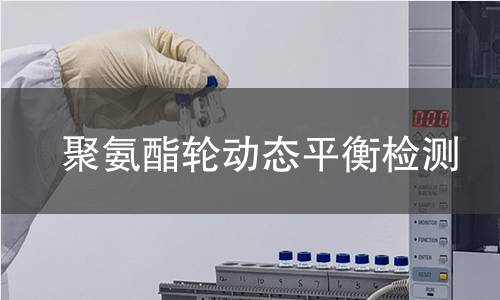 聚氨酯轮动态平衡检测