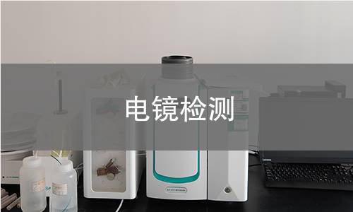 电镜检测 电镜检测