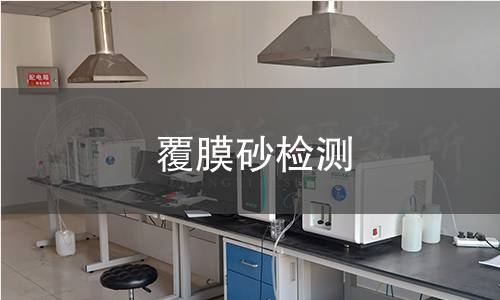 覆膜砂检测