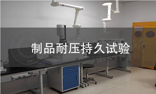 制品耐压持久试验 制品耐压持久试验