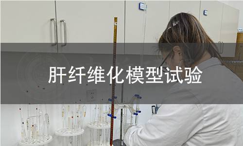 肝纤维化模型试验 肝纤维化模型试验