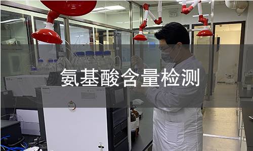 氨基酸含量检测 氨基酸含量检测