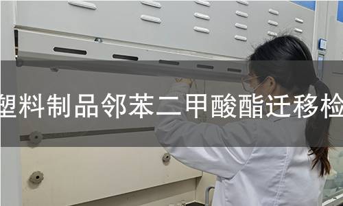 塑料制品邻苯二甲酸酯迁移检测 塑料制品邻苯二甲酸酯迁移检测