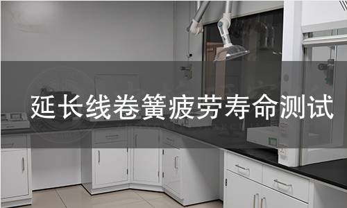 延长线卷簧疲劳寿命测试