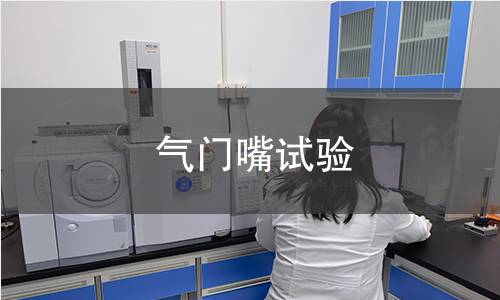 气门嘴试验