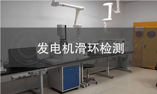 发电机滑环检测
