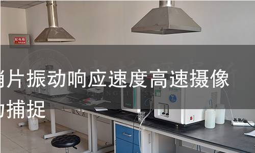 唢呐哨片振动响应速度高速摄像机运动捕捉 唢呐哨片振动响应速度高速摄像机运动捕捉