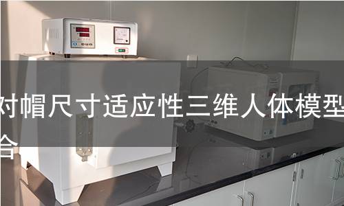 派对帽尺寸适应性三维人体模型拟合 派对帽尺寸适应性三维人体模型拟合