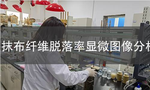 抹布纤维脱落率显微图像分析 抹布纤维脱落率显微图像分析