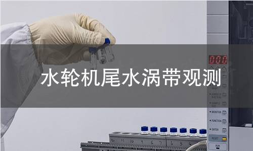 水轮机尾水涡带观测 水轮机尾水涡带观测