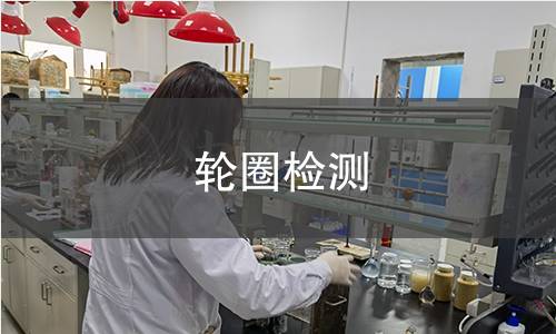 轮圈检测
