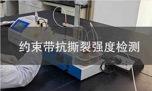 约束带抗撕裂强度检测 约束带抗撕裂强度检测