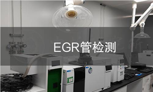 EGR管检测 EGR管检测