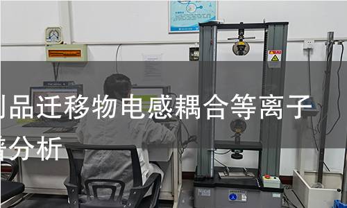 塑料制品迁移物电感耦合等离子体质谱分析 塑料制品迁移物电感耦合等离子体质谱分析