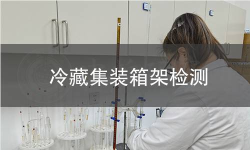 冷藏集装箱架检测 冷藏集装箱架检测