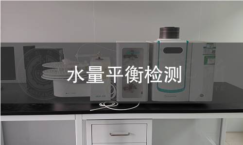 水量平衡检测